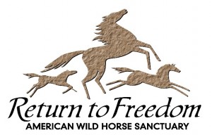 Return to Freedom Fundraiser