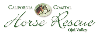 California Coastal Horse Rescue, Ojai Valley Receives Challenge Grant for Hay