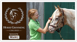 HorseChannel’s Popular Equine Grooming College Adds New Courses