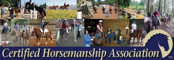Certified Horsemanship Association Provides University and College Class Lectures on Horsemanship Safety and Education