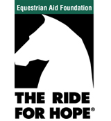 Equestrian Aid Foundation Introduces 2nd Silk Scarf in the Zen Horse Collection to Assist Equestrians in Need