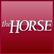 The Horse will present “Equine Identification: