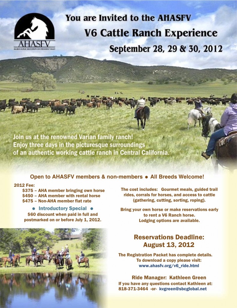 AHASFV V6 Cattle Ranch Experience