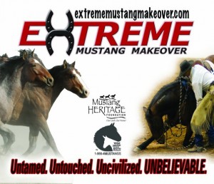 Amanda Brantmayer Wins Extreme Mustang Makeover