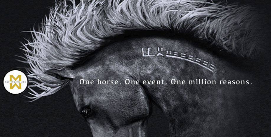 Announcement of Mustang Million puts Wild Horses in new Equine Class