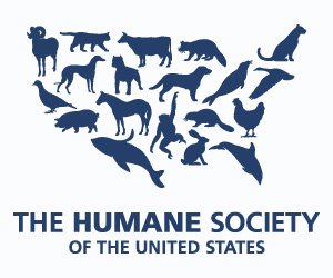 The Humane Society of the United States Launches Safe Stalls Horse Rescue Network