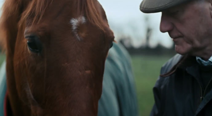Horseware Ireland Rugs for Life - Horse:Digital