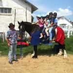 Bravo - The Super Horse of Kid's Camps