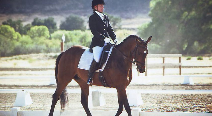 Riding Again: Back Home in the Dressage Saddle