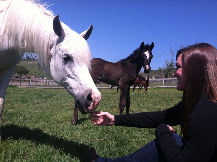 Katie with an Arabian mare and foal