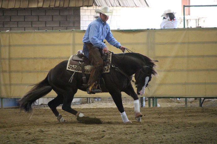 SLOCQHA Mothers Day Circuit Show Reining