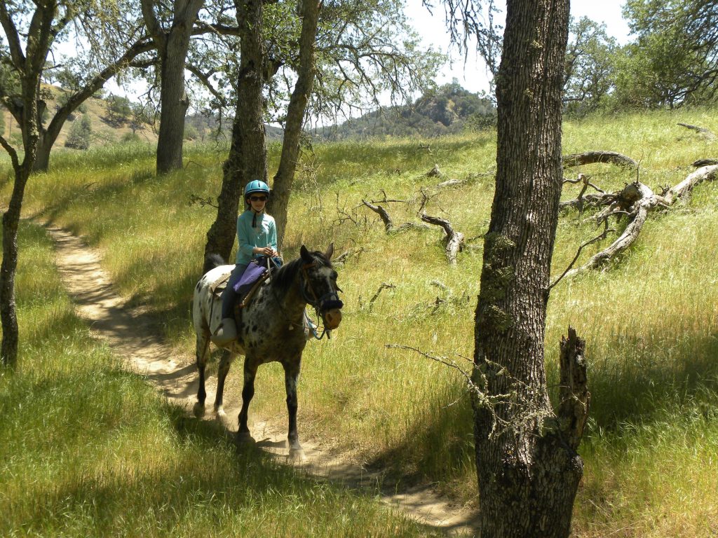 Riding the Trails in SLO County: Santa Margarita Lake Trails