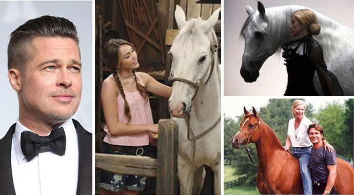 celebrity-horses-main
