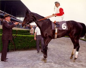 Remembering Ruffian - Queen Of The Fillies | SLO Horse News