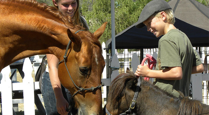 Five Tips to Becoming a Better Barn Mate | SLO Horse News