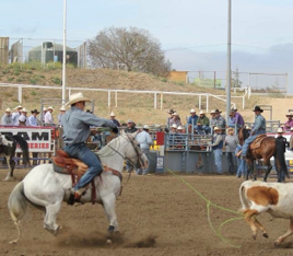 Learning Team Work and Responsibility in High School Rodeo | SLO Horse News