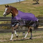 Let It Rain! Smart Blanket Options for a Wet Winter | SLO Horse News