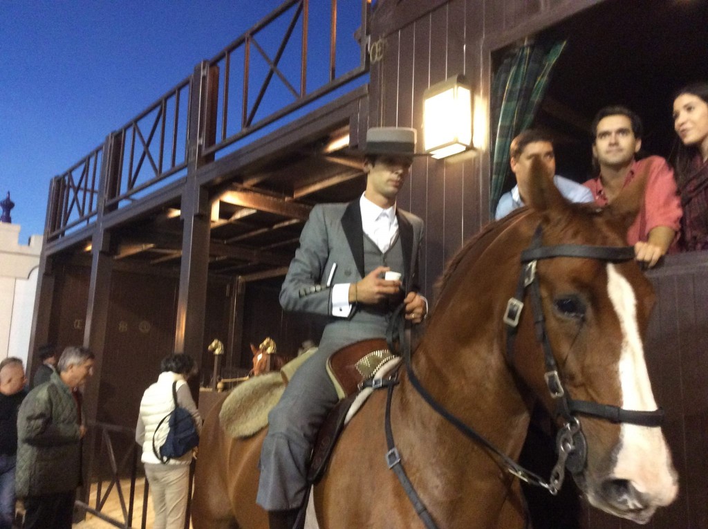 Horses, Friends, Fun : Golegã Fair at Night | SLO Horse News