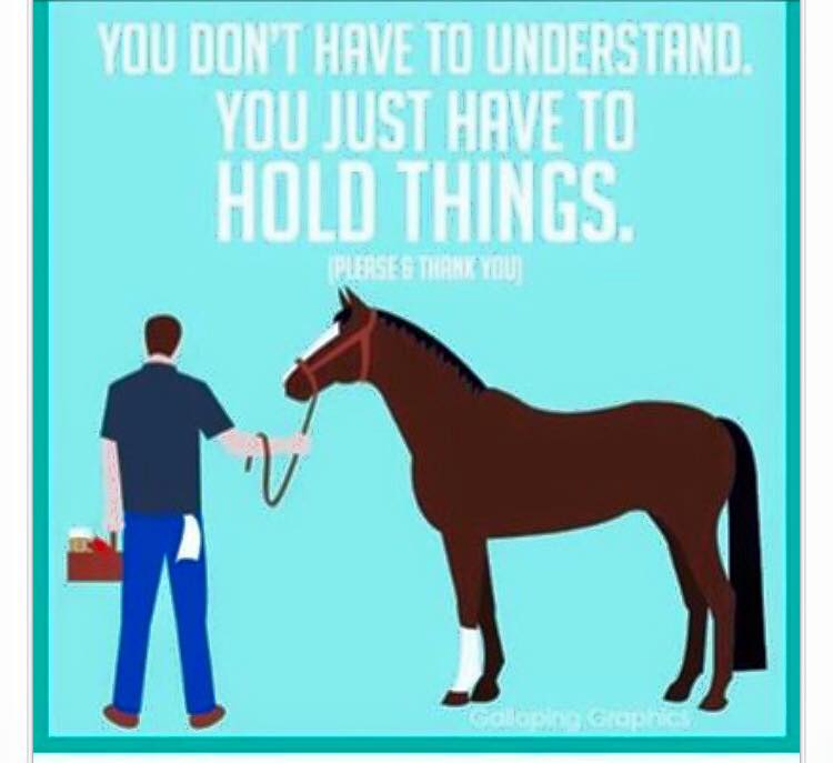Hold things
