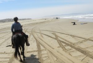 Get Going: SLO County Trail Rides | SLO Horse News