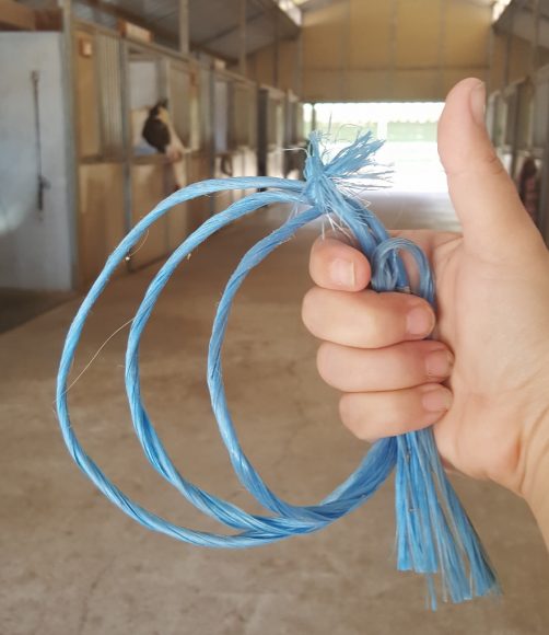 A Handful of Useful HorseLife Hacks SLO Horse News