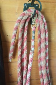 Home made lunge rope (668x1024)