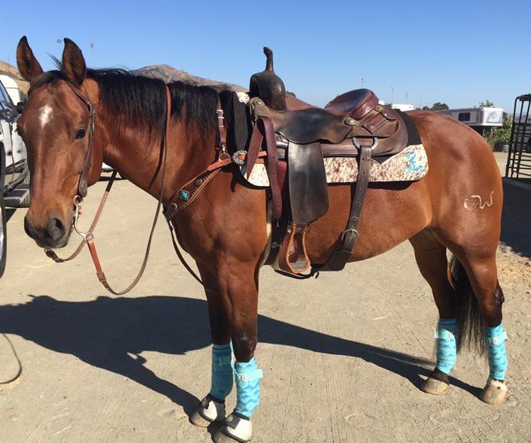 Fit, Function and Fun of the Western Saddle Pad SLO Horse News
