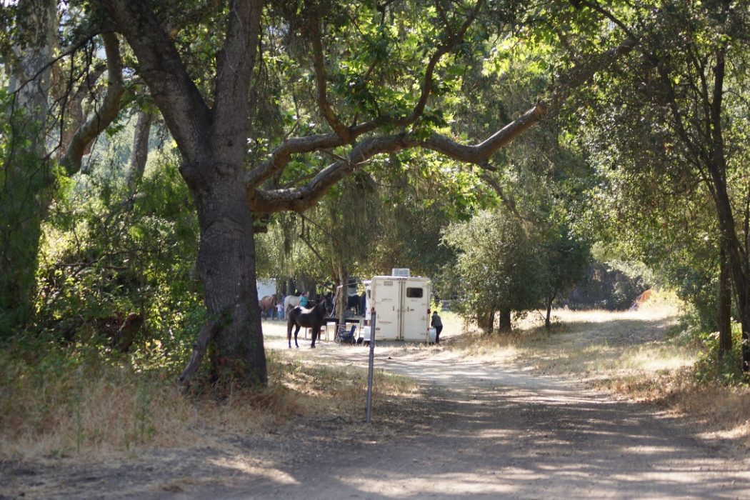 Horse Camping at Black Bear Equestrian Camp SLO Horse News