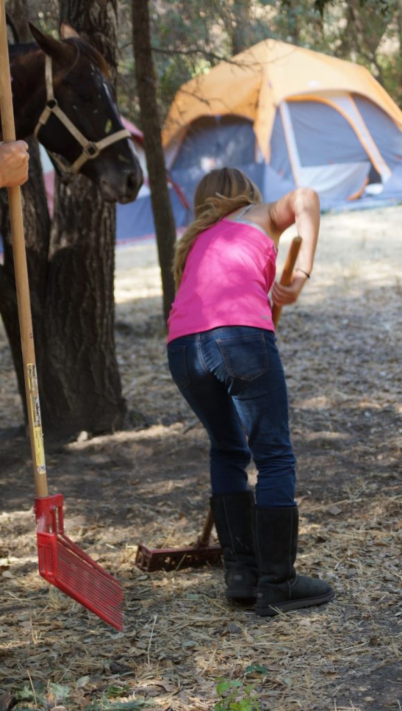 Why Raking Up Horse Poop is Therapeutic SLO Horse News