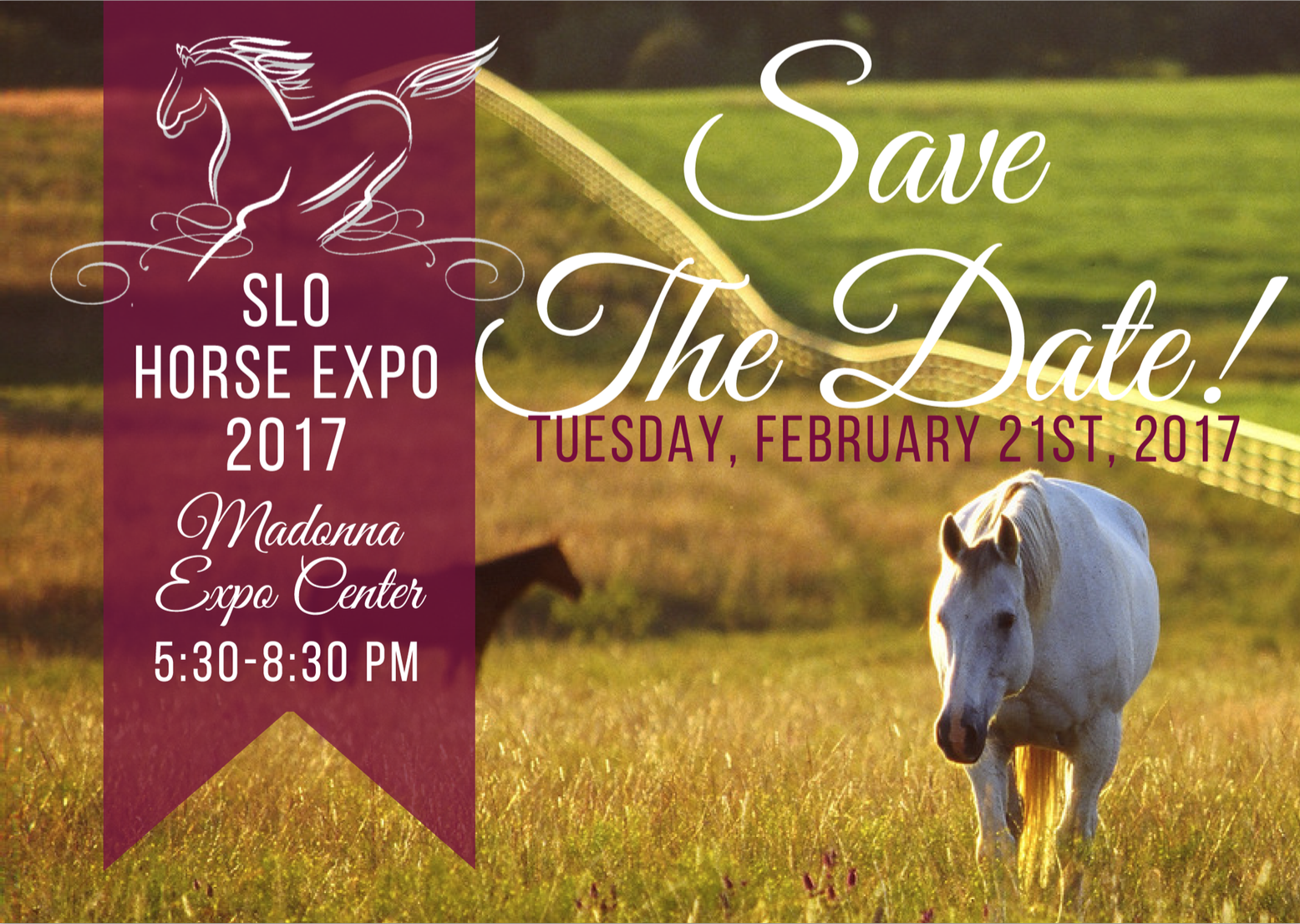 Face-to-Face Time with Vets and Friends: SLO Horse Expo | SLO Horse News