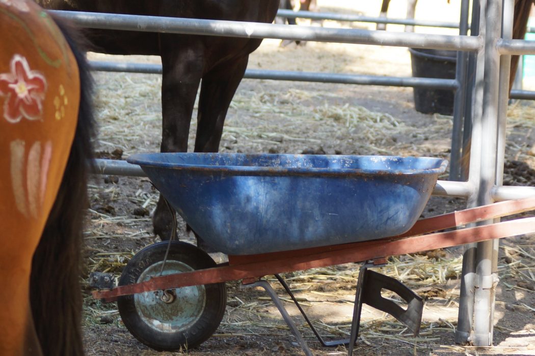 Why Raking Up Horse Poop is Therapeutic | SLO Horse News