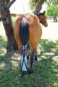 Business is Blooming : Blooming Tails Tail Bags | SLO Horse News