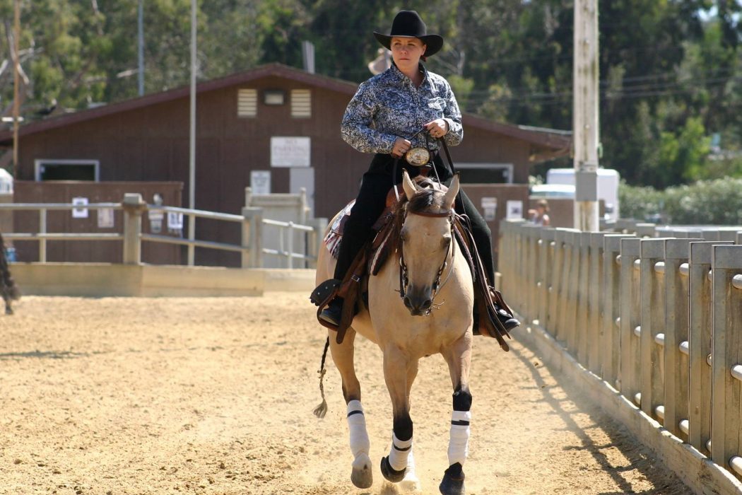 Mares Over Geldings - Are Mares Really the Best? | SLO Horse News