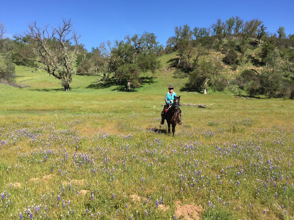 Overnight Trail Ride Adventure to the American Canyon Camp | SLO Horse News