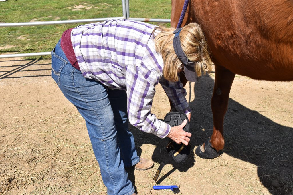 Are You and Your Horse Ready to Ride the Trails? | SLO Horse News