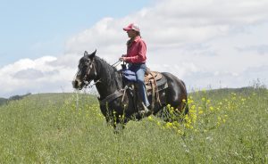 Experiencing a Slice of Paradise : The Work Ranch Benefit Trail Ride | SLO Horse News