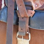 Are You and Your Horse Ready to Ride the Trails? | SLO Horse News