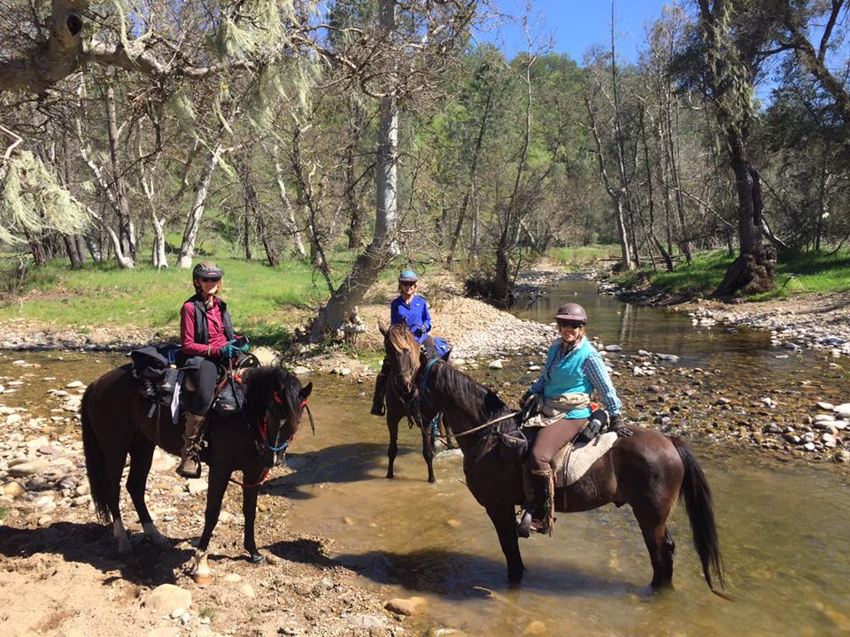 Overnight Trail Ride Adventure to the American Canyon Camp | SLO Horse News