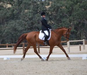 Paso Robles Dressage Summer Classic : A Step on the Path to International Dressage Competition | SLO Horse News
