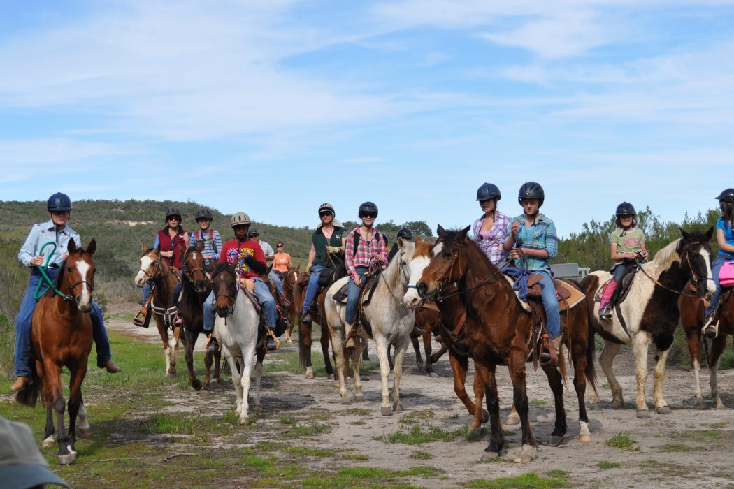 Learn How to High-Tie as You Ride with Experienced Horse Campers | SLO Horse News