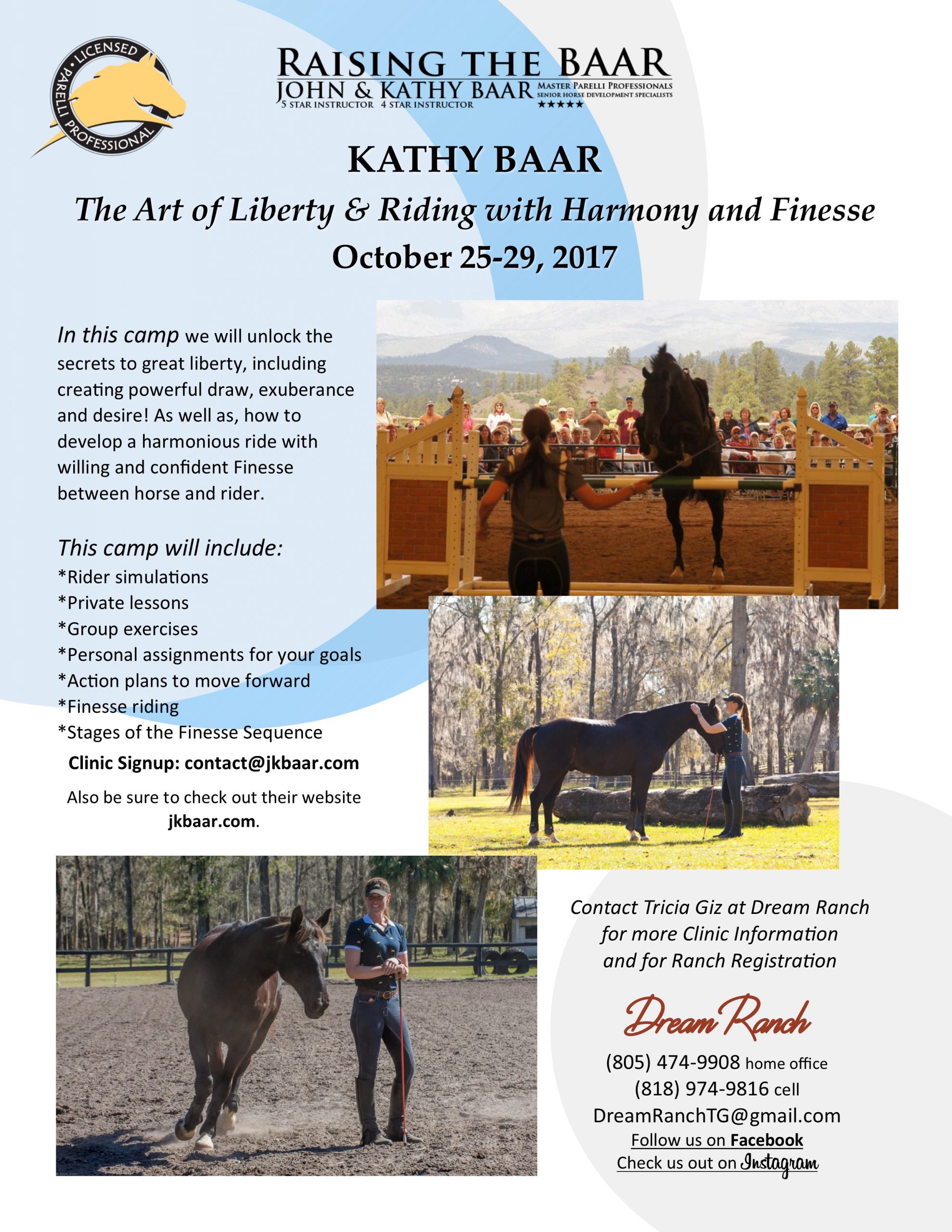 Working a Horse at Liberty – the Ultimate Conversation | SLO Horse News