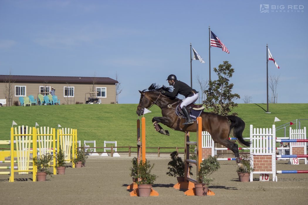 Jump into the Fun of a Hunter/Jumper Show at the Paso Robles Horse Park | SLO Horse News
