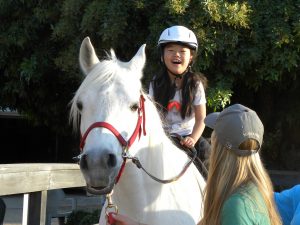 Jump into the Fun of a Hunter/Jumper Show at the Paso Robles Horse Park | SLO Horse News