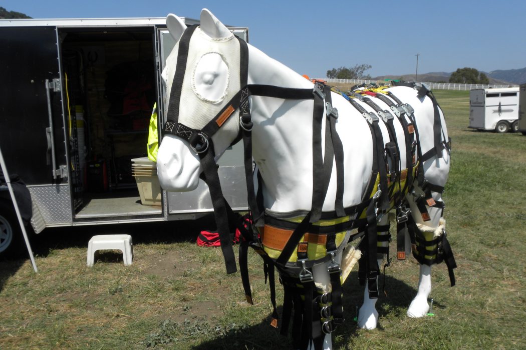 H.E.E.T. Volunteers : Not Just Fire Rescuers | SLO Horse News