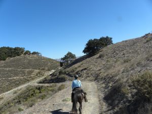 Riding the SLO County Trails: The Pismo Preserve | SLO Horse News