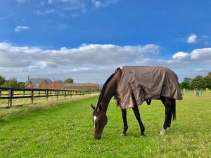Andrea Baxter and Indy 500 : Eventing in England | SLO Horse News