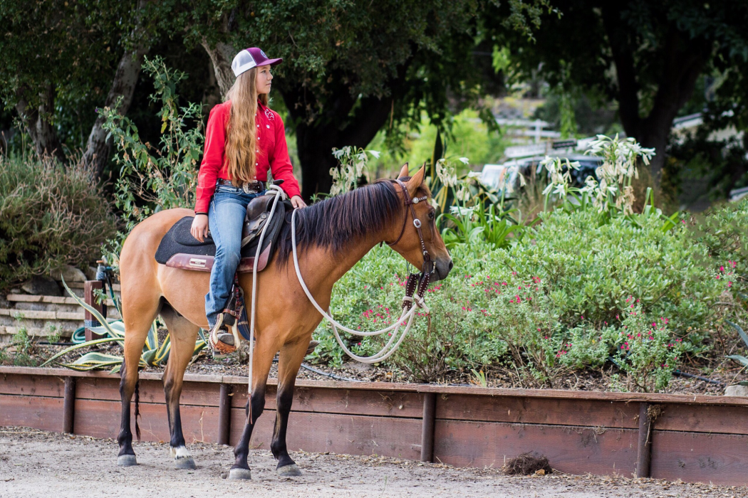 Andrea Cao: Local Teen Equestrian with Entrepreneur Hustle | SLO Horse News