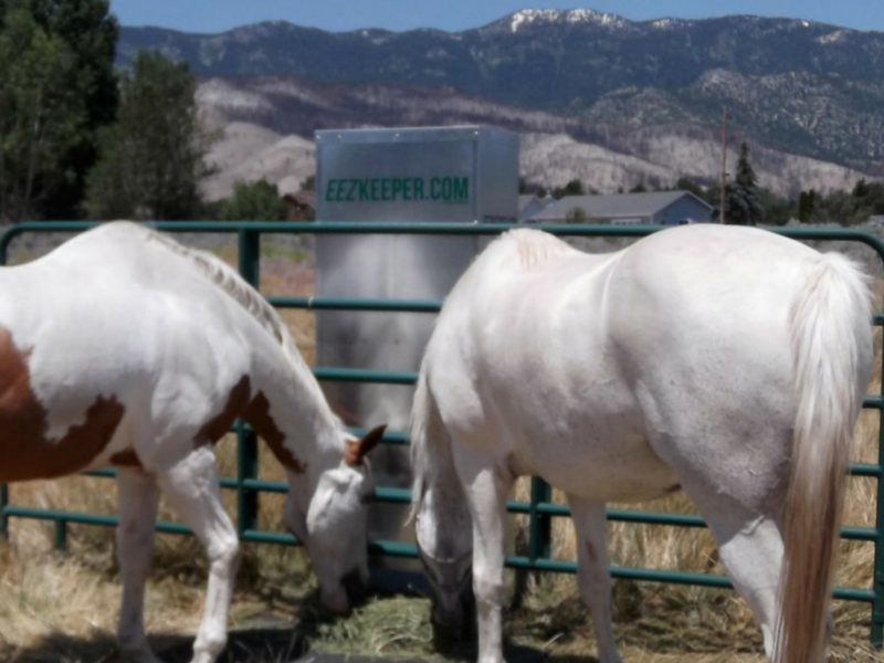 Automatic Hay Feeder Saves You Time and Takes Away Worry | SLO Horse News