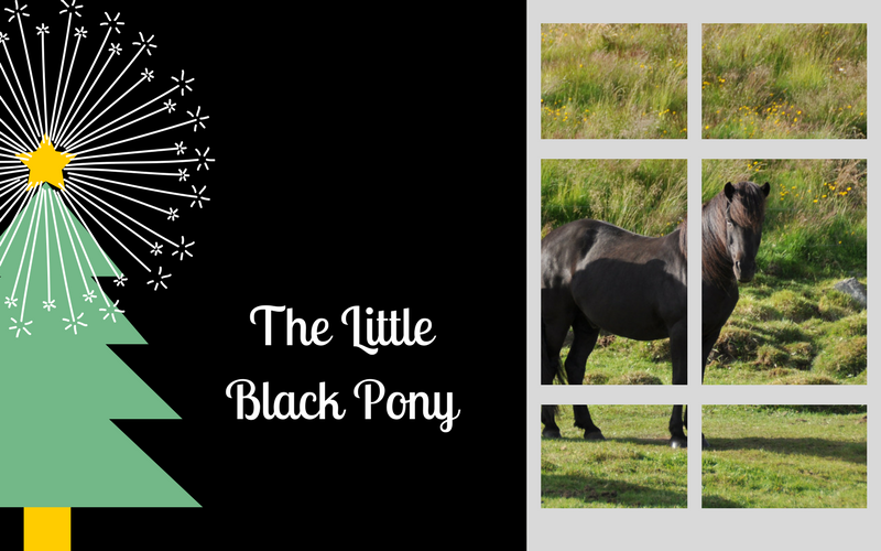 The Little Black Pony : A Christmas Wish Story | SLO Horse News