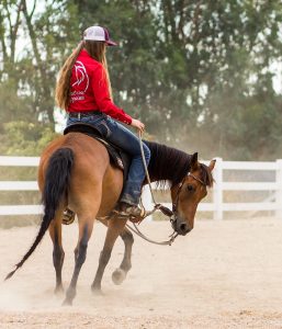 Andrea Cao: Local Teen Equestrian with Entrepreneur Hustle | SLO Horse News